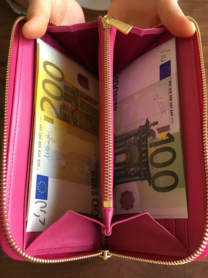 エーテル・AETHERの財布、ピヴォワンヌ・ブーケの札入れ部分