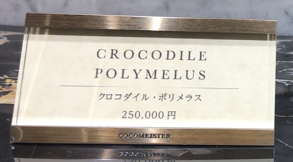 27万円の高級二つ折り財布！ココマイスターのクロコダイル ポリメラス
